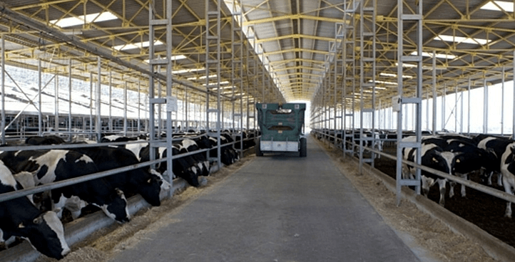 ÇELİK VE BETONARME ÇİFTLİKLER